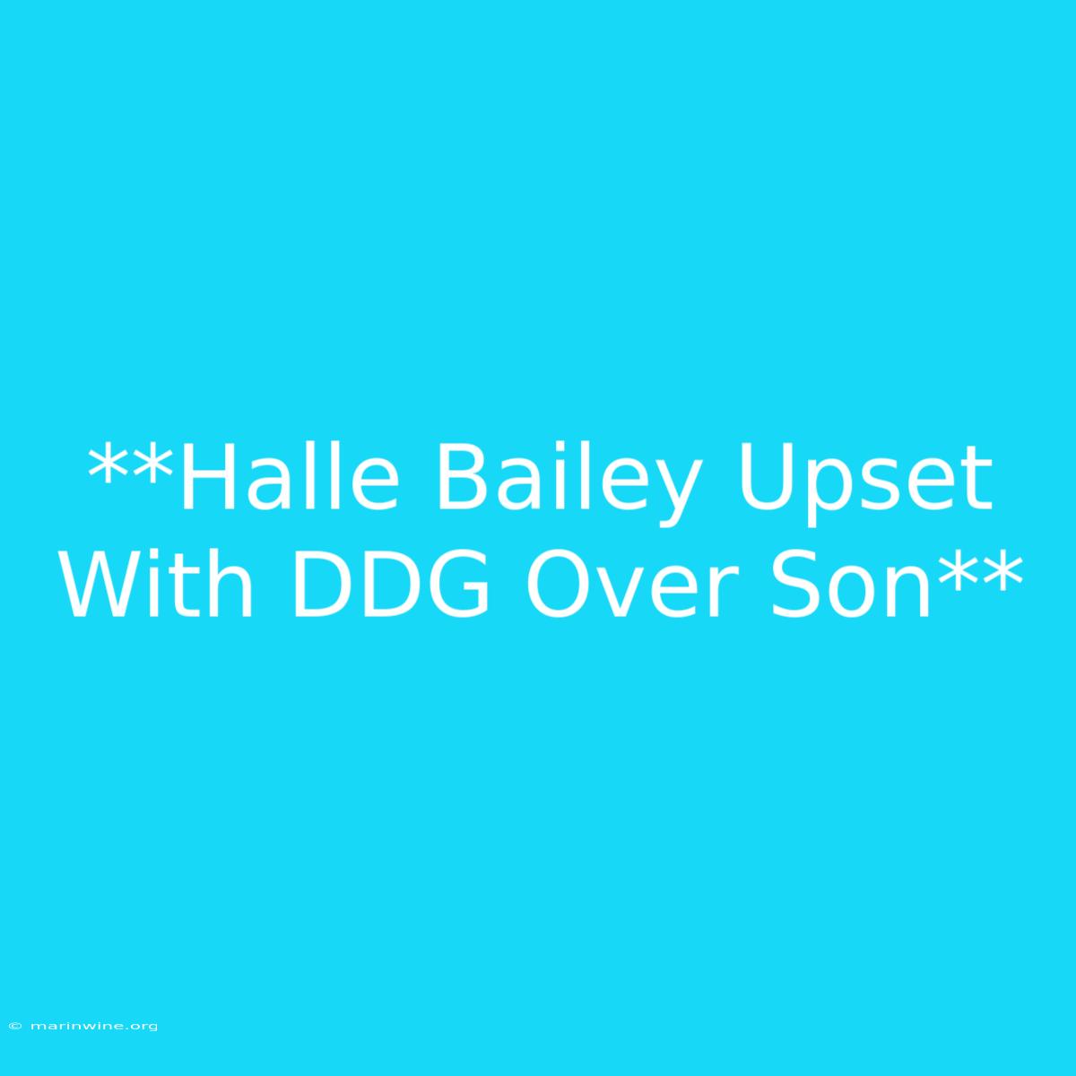 **Halle Bailey Upset With DDG Over Son**