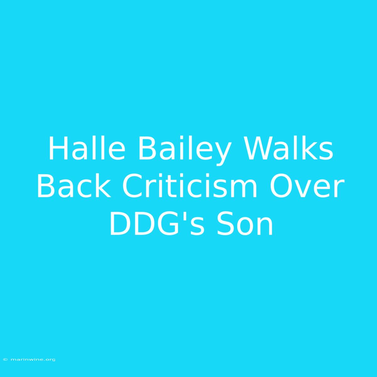 Halle Bailey Walks Back Criticism Over DDG's Son