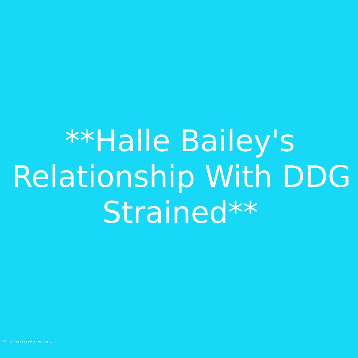 **Halle Bailey's Relationship With DDG Strained** 