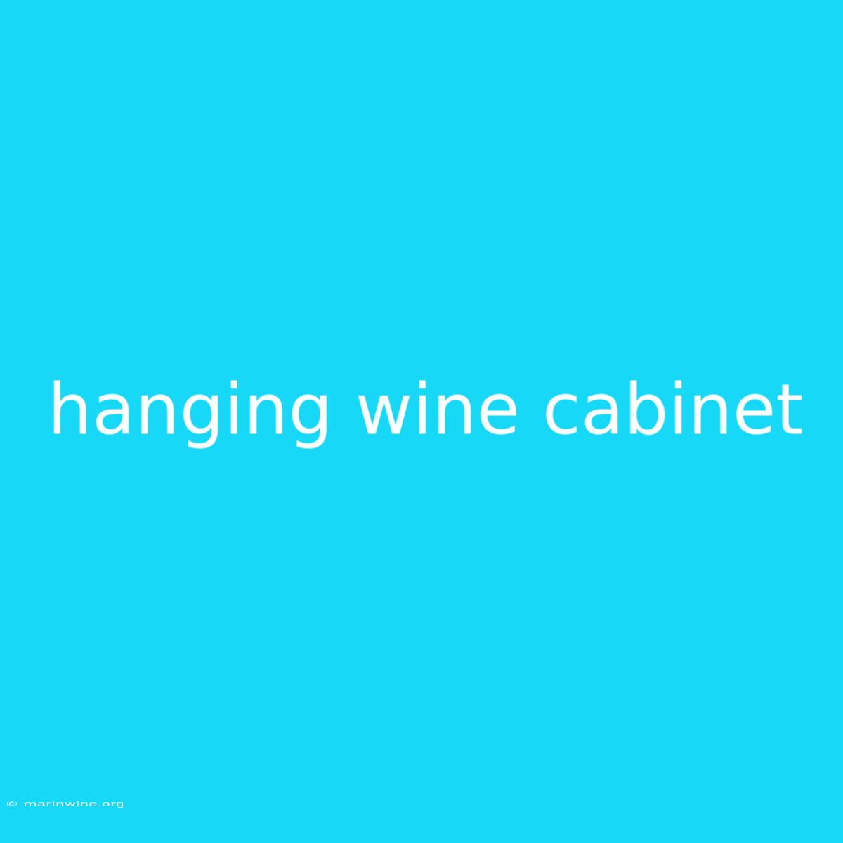 Hanging Wine Cabinet