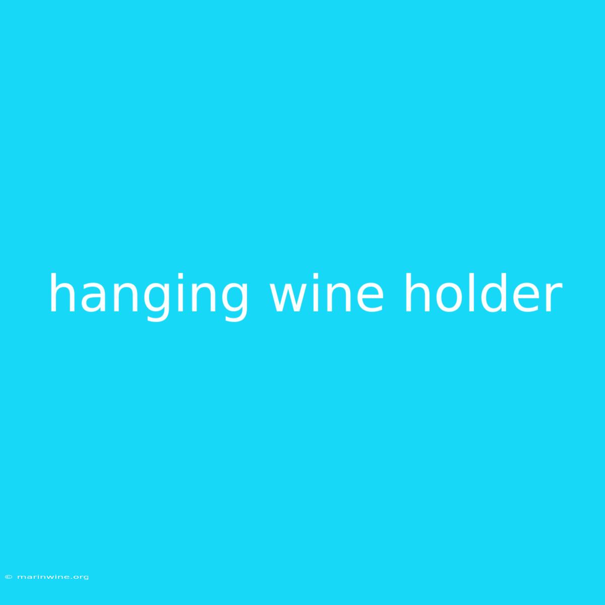 Hanging Wine Holder