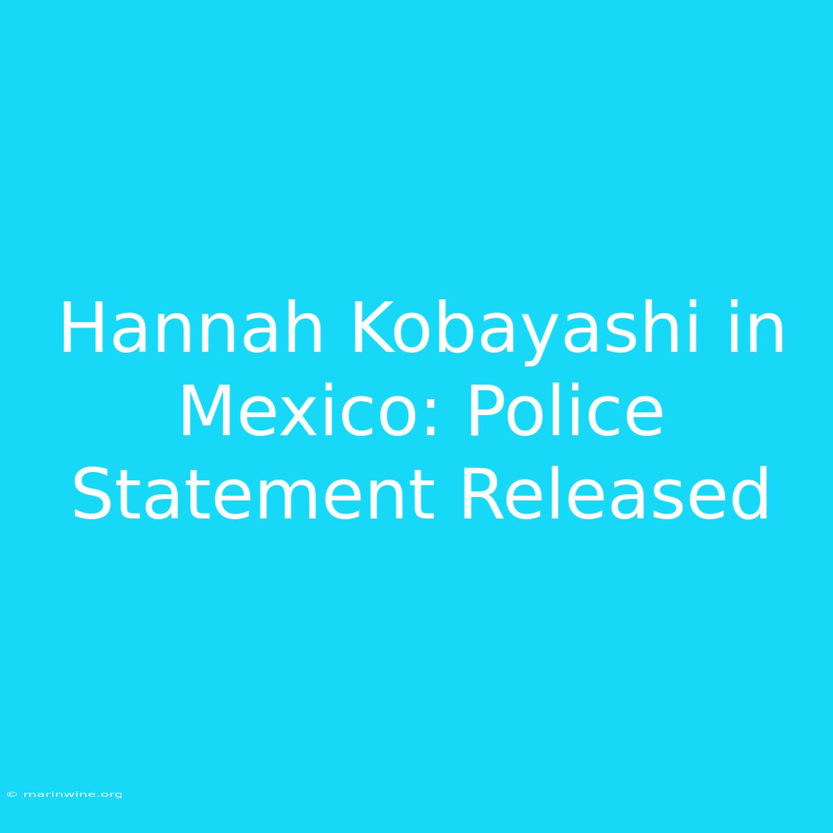 Hannah Kobayashi In Mexico: Police Statement Released