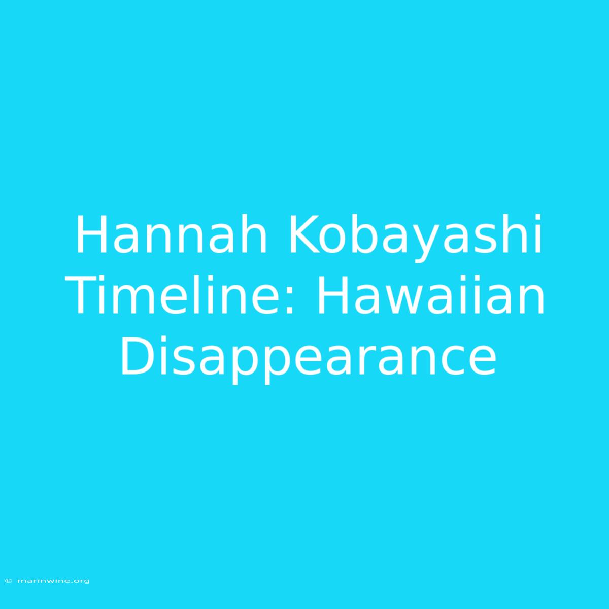 Hannah Kobayashi Timeline: Hawaiian Disappearance