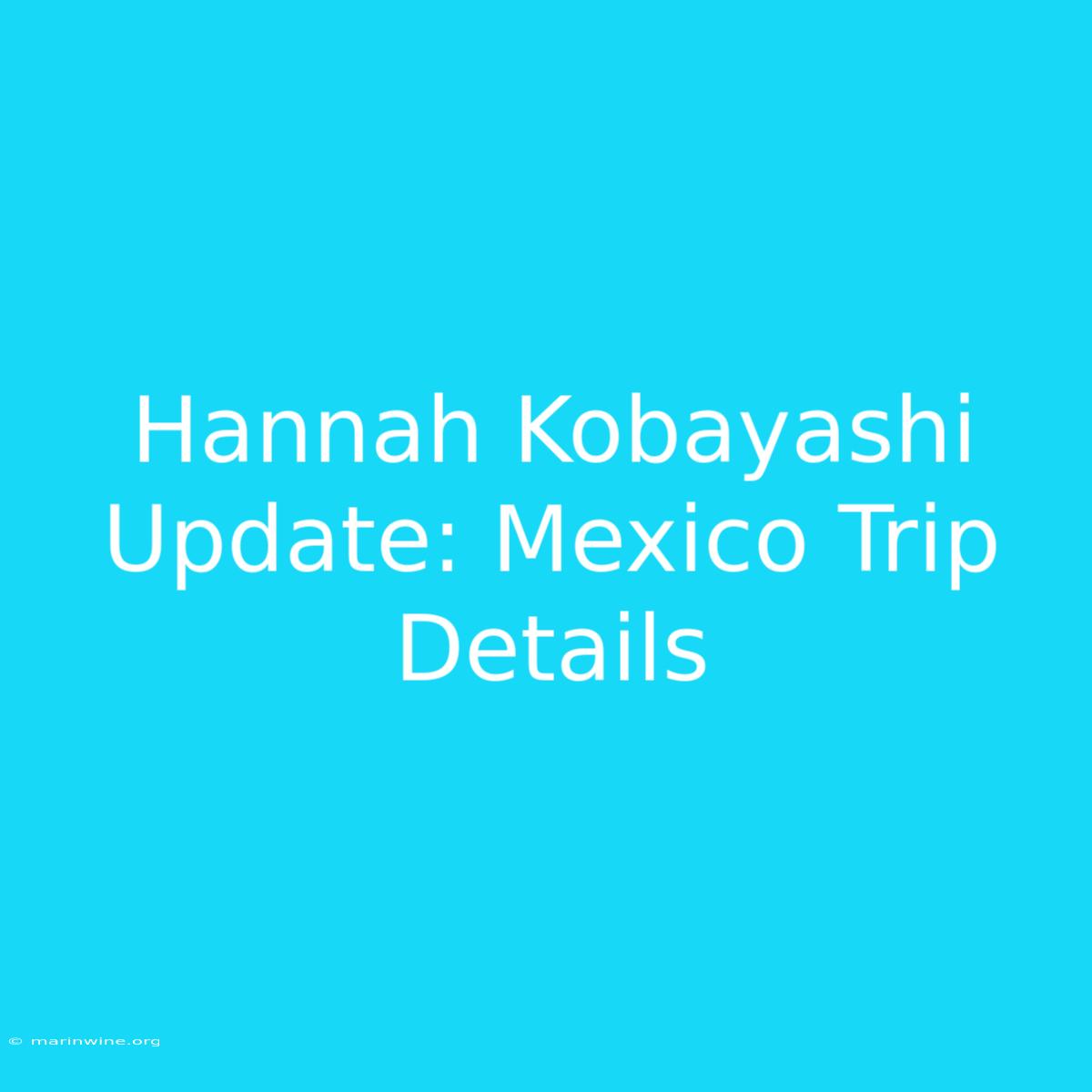 Hannah Kobayashi Update: Mexico Trip Details