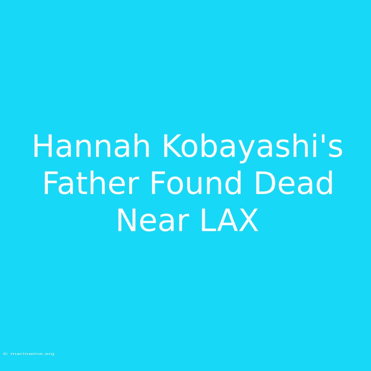 Hannah Kobayashi's Father Found Dead Near LAX