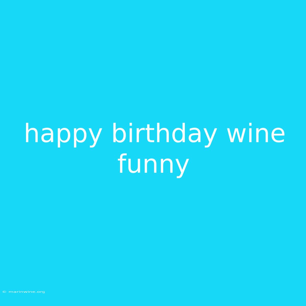 Happy Birthday Wine Funny