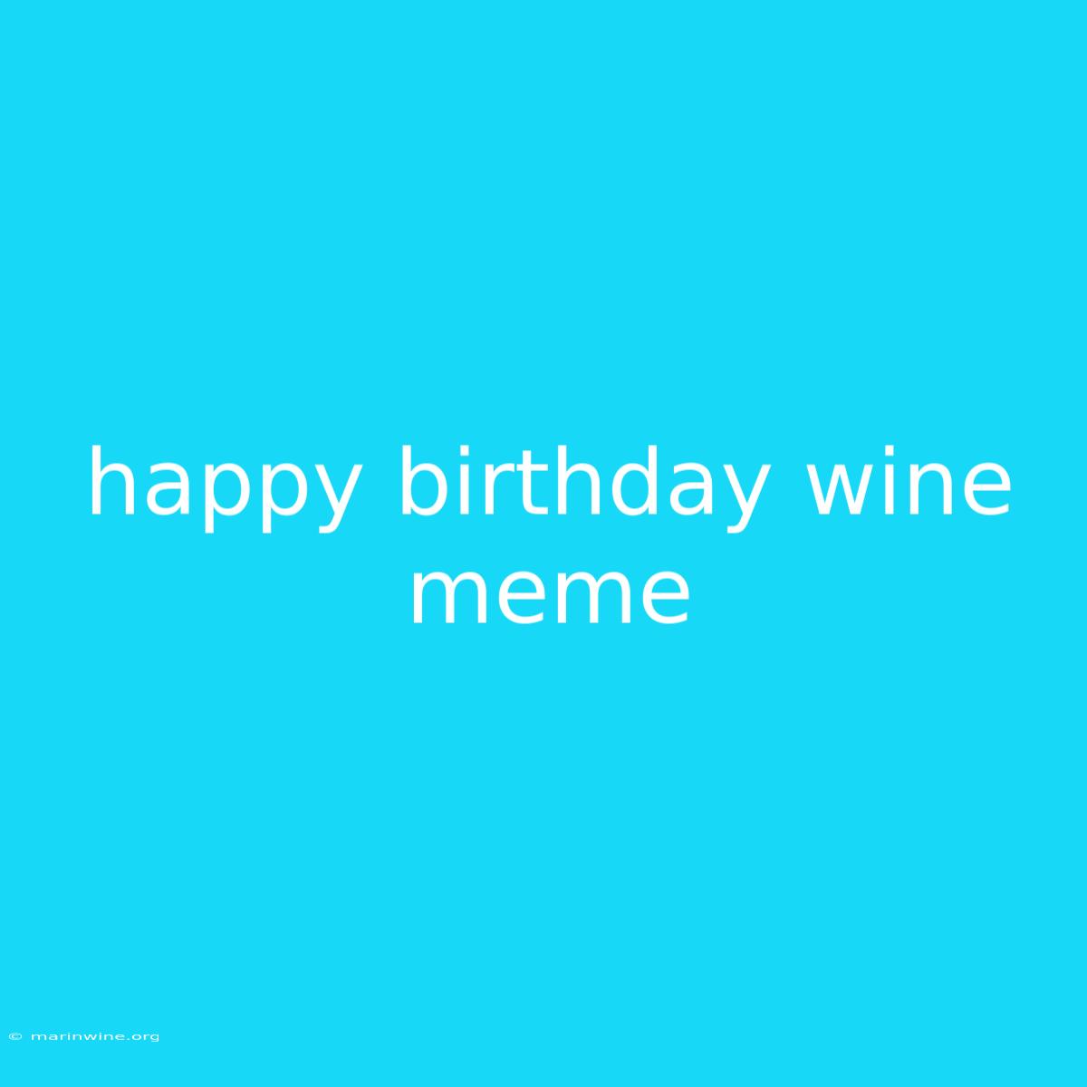 Happy Birthday Wine Meme