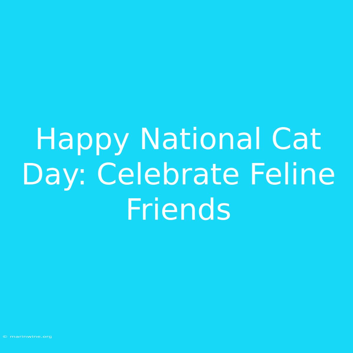 Happy National Cat Day: Celebrate Feline Friends