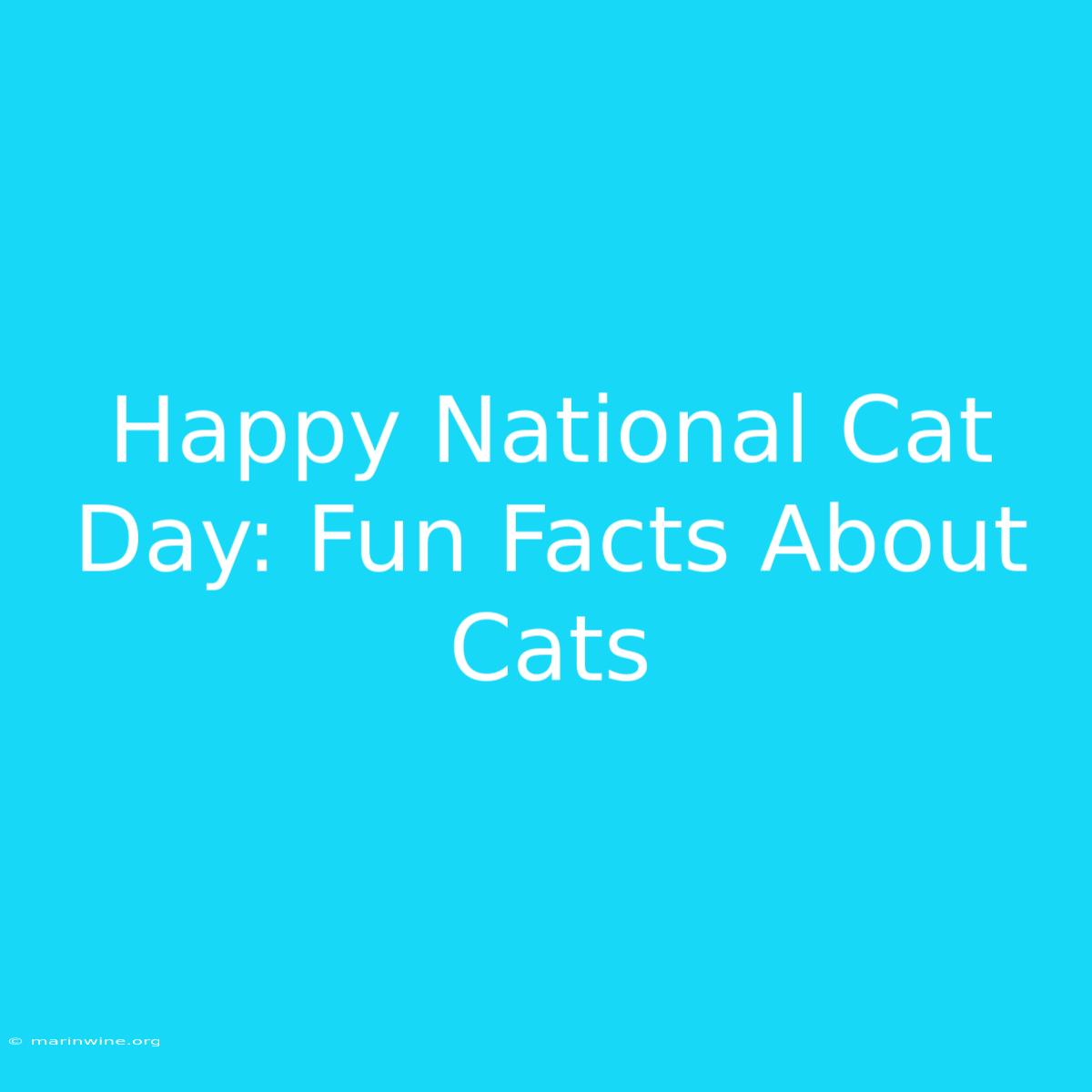 Happy National Cat Day: Fun Facts About Cats 