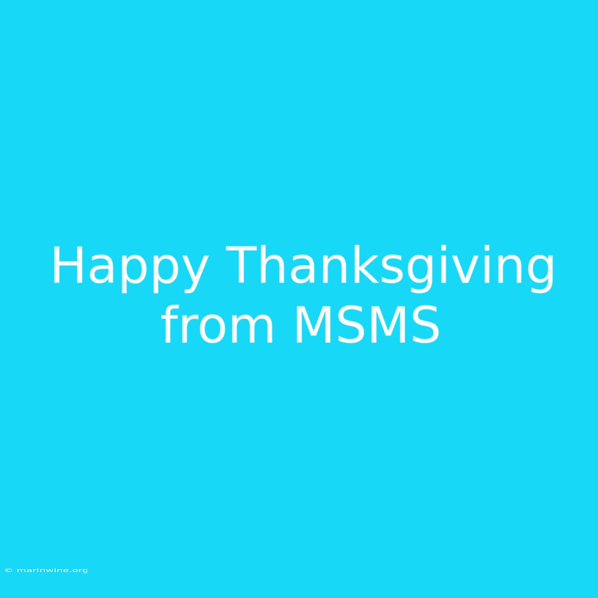 Happy Thanksgiving From MSMS