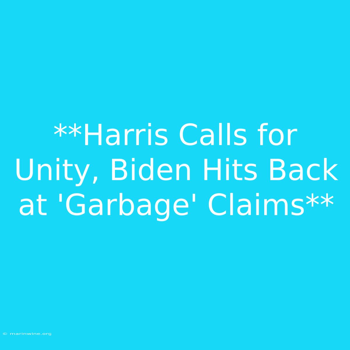 **Harris Calls For Unity, Biden Hits Back At 'Garbage' Claims**