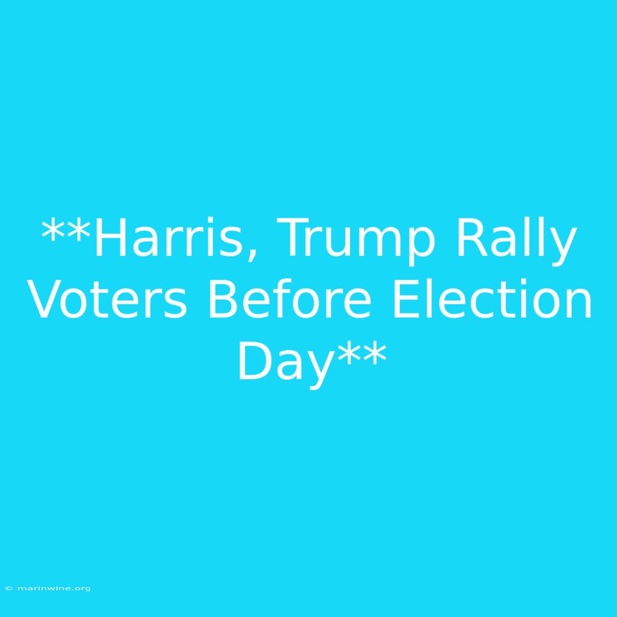 **Harris, Trump Rally Voters Before Election Day**