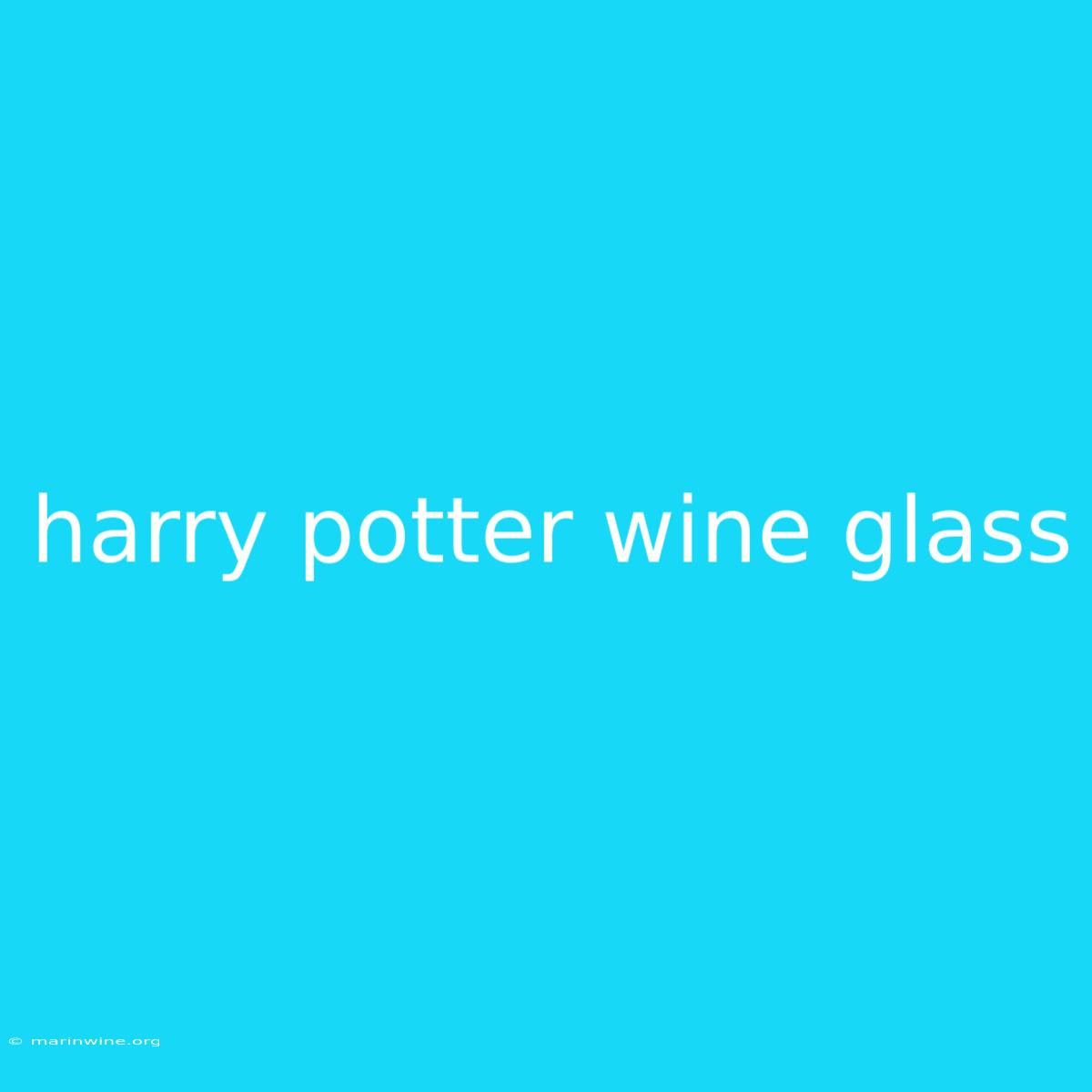 Harry Potter Wine Glass