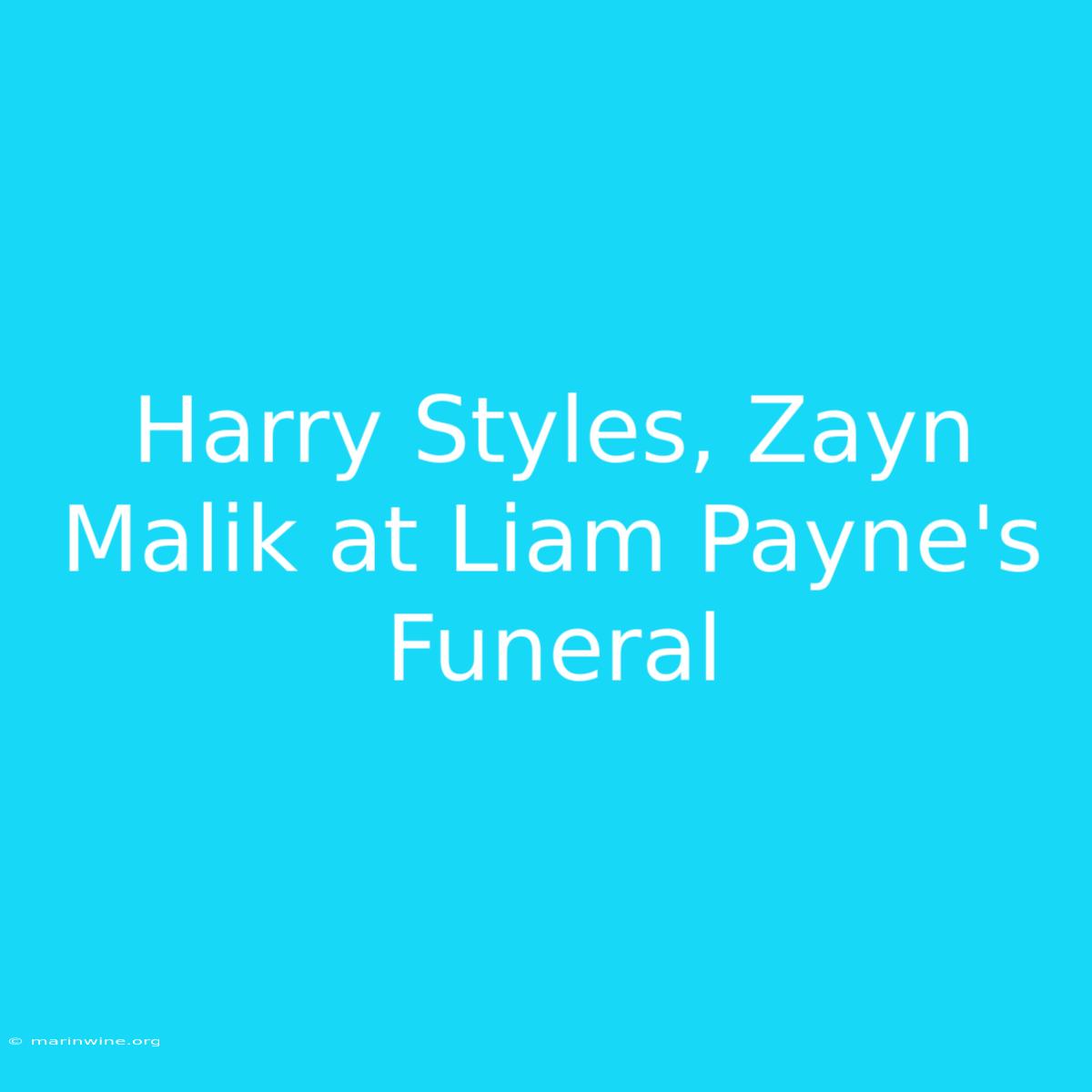 Harry Styles, Zayn Malik At Liam Payne's Funeral