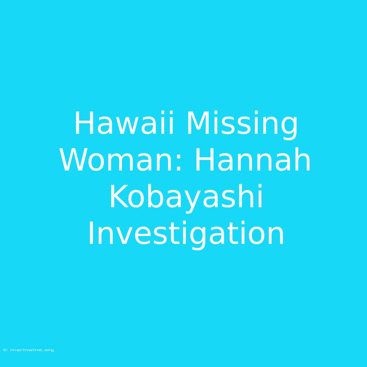 Hawaii Missing Woman: Hannah Kobayashi Investigation