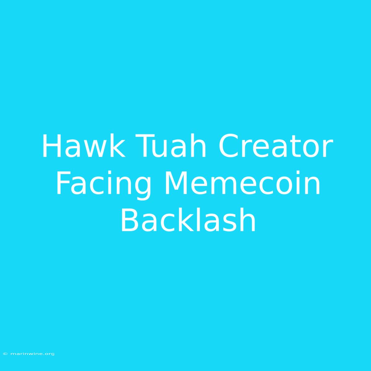 Hawk Tuah Creator Facing Memecoin Backlash