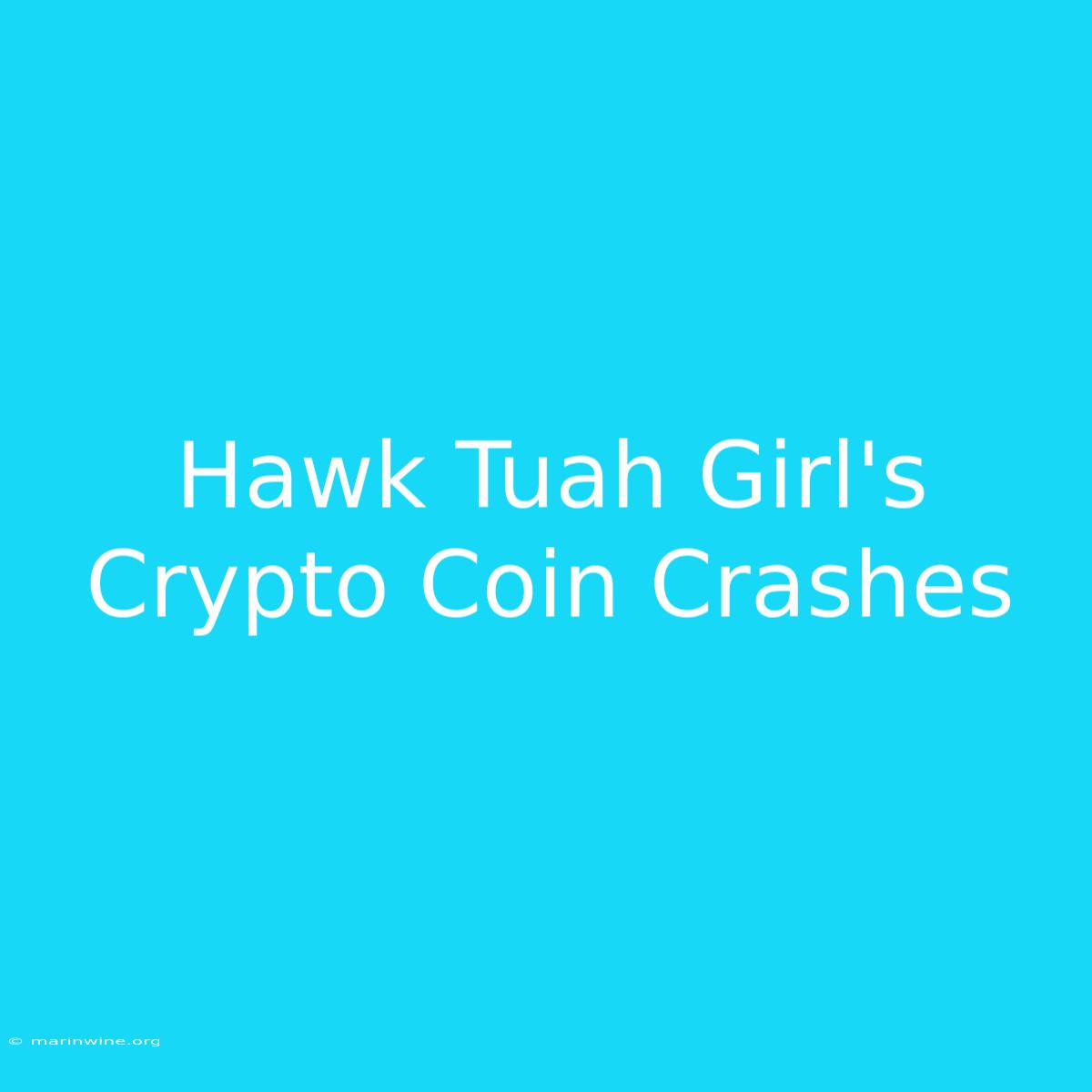 Hawk Tuah Girl's Crypto Coin Crashes