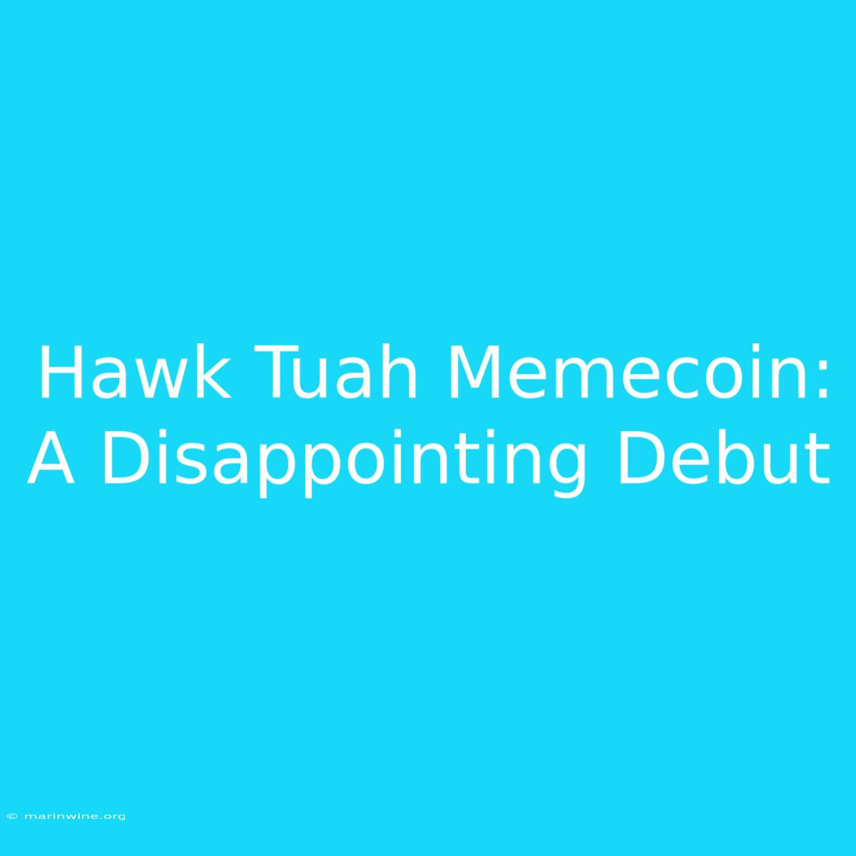 Hawk Tuah Memecoin: A Disappointing Debut