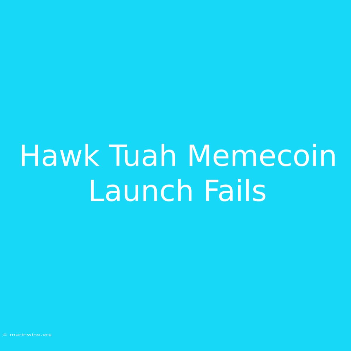 Hawk Tuah Memecoin Launch Fails