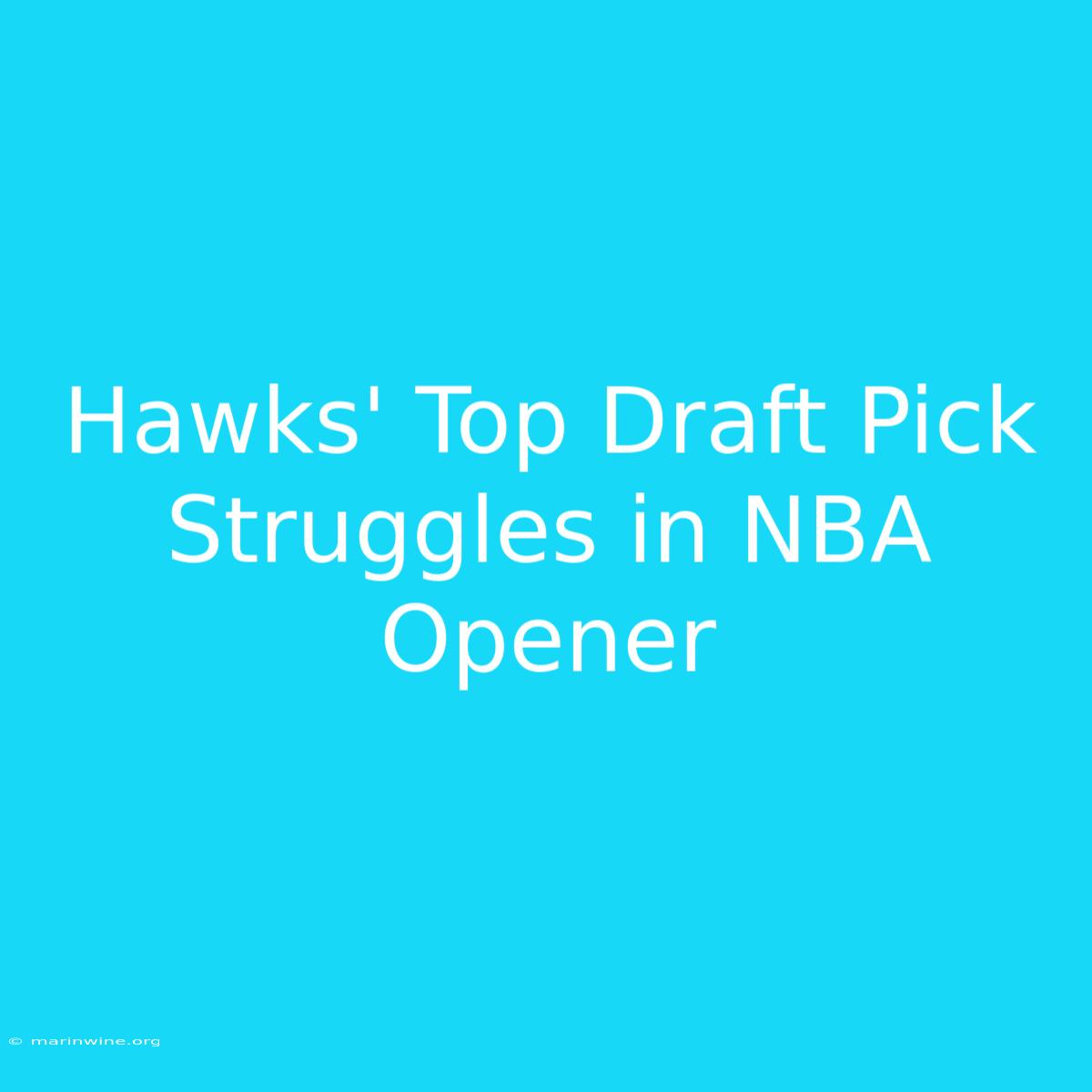 Hawks' Top Draft Pick Struggles In NBA Opener