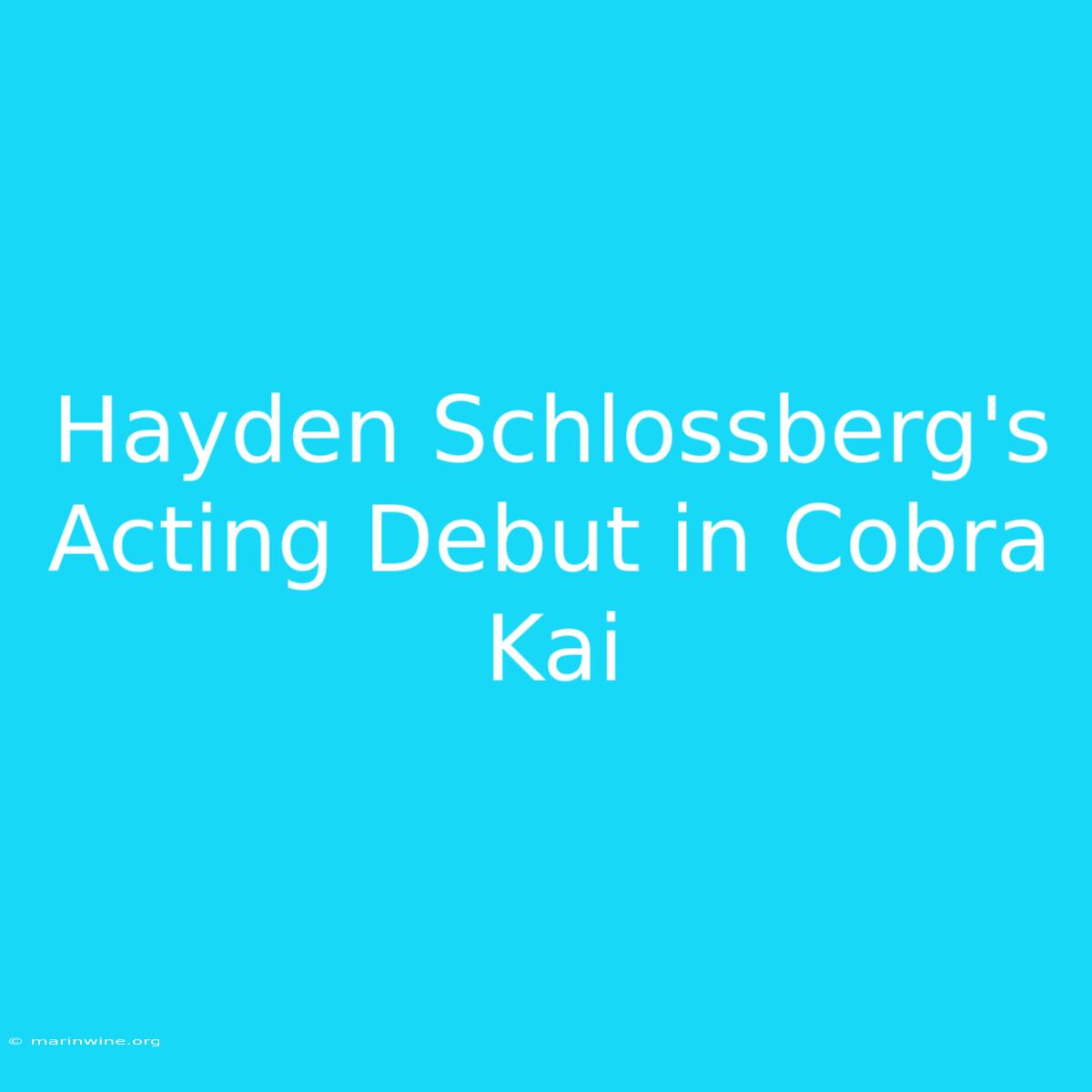 Hayden Schlossberg's Acting Debut In Cobra Kai