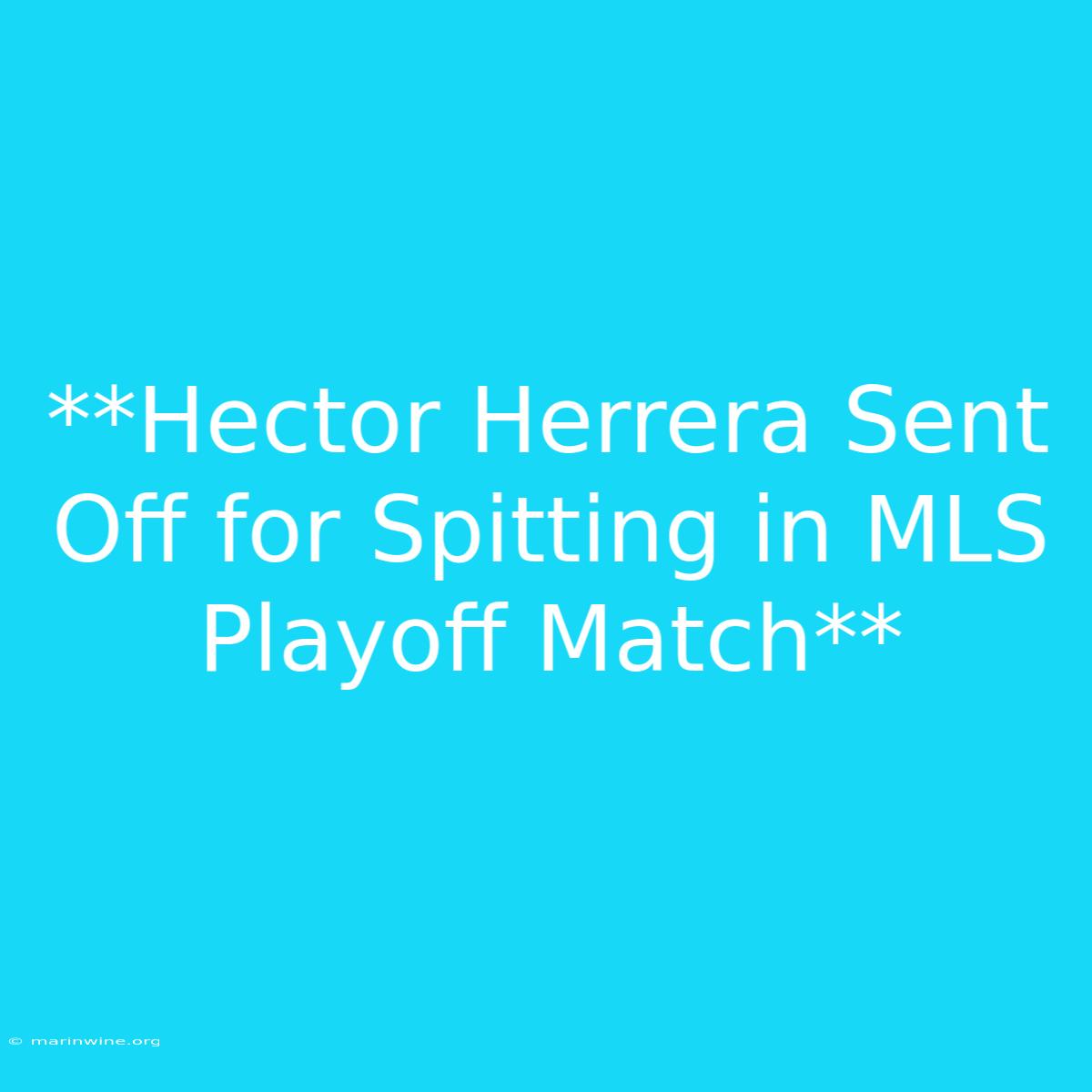 **Hector Herrera Sent Off For Spitting In MLS Playoff Match**