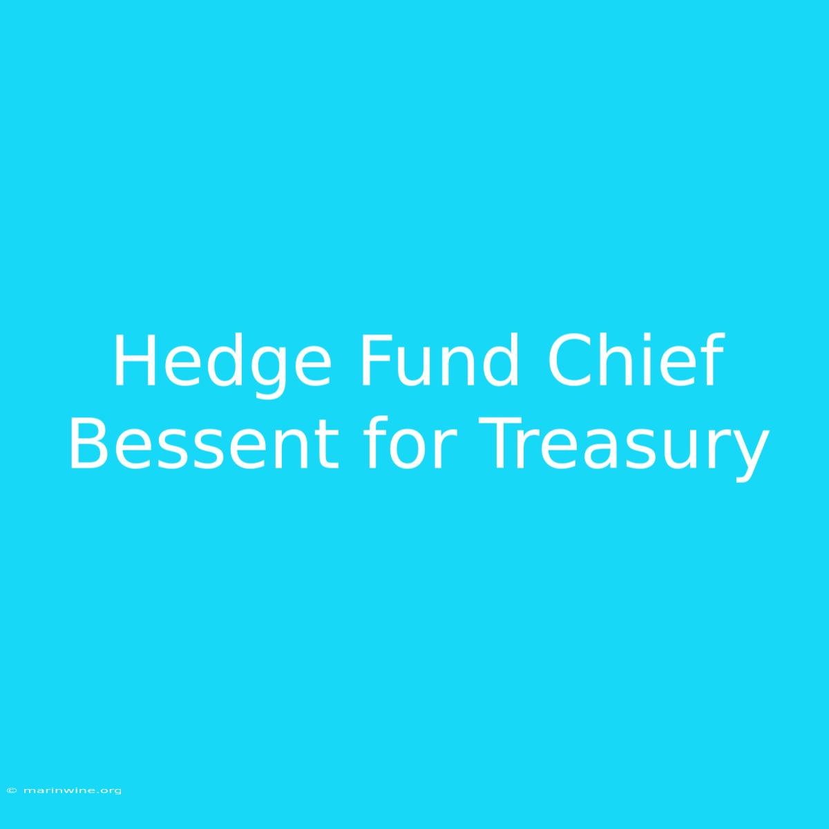 Hedge Fund Chief Bessent For Treasury