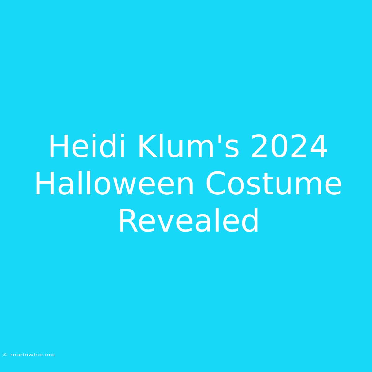 Heidi Klum's 2024 Halloween Costume Revealed