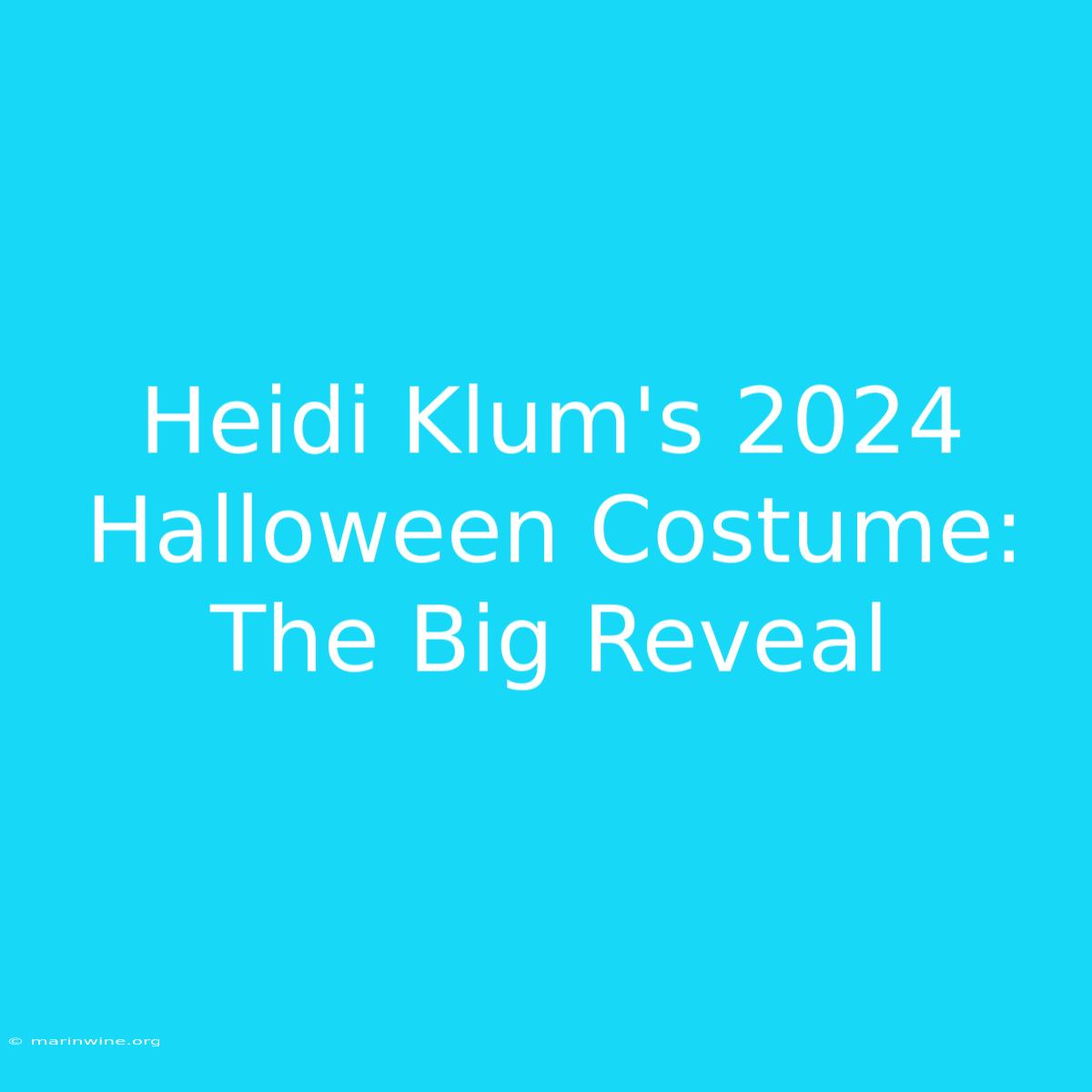 Heidi Klum's 2024 Halloween Costume: The Big Reveal 