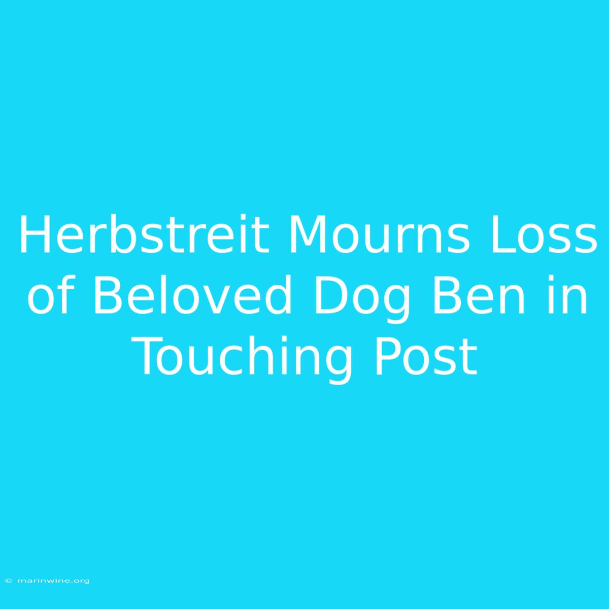 Herbstreit Mourns Loss Of Beloved Dog Ben In Touching Post