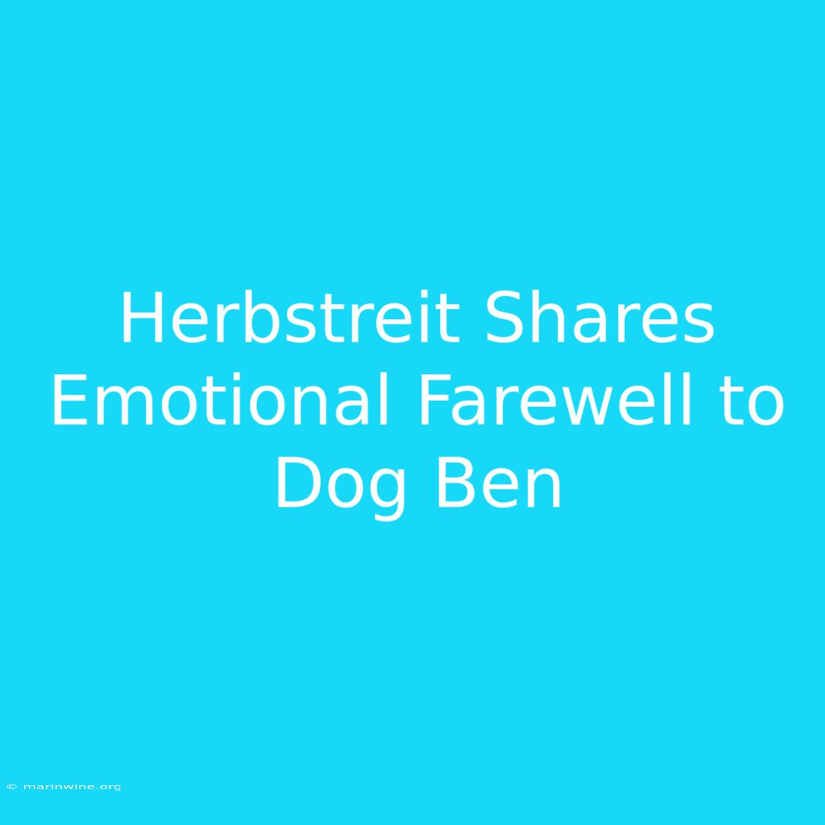 Herbstreit Shares Emotional Farewell To Dog Ben