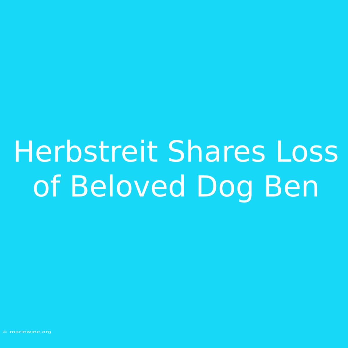 Herbstreit Shares Loss Of Beloved Dog Ben