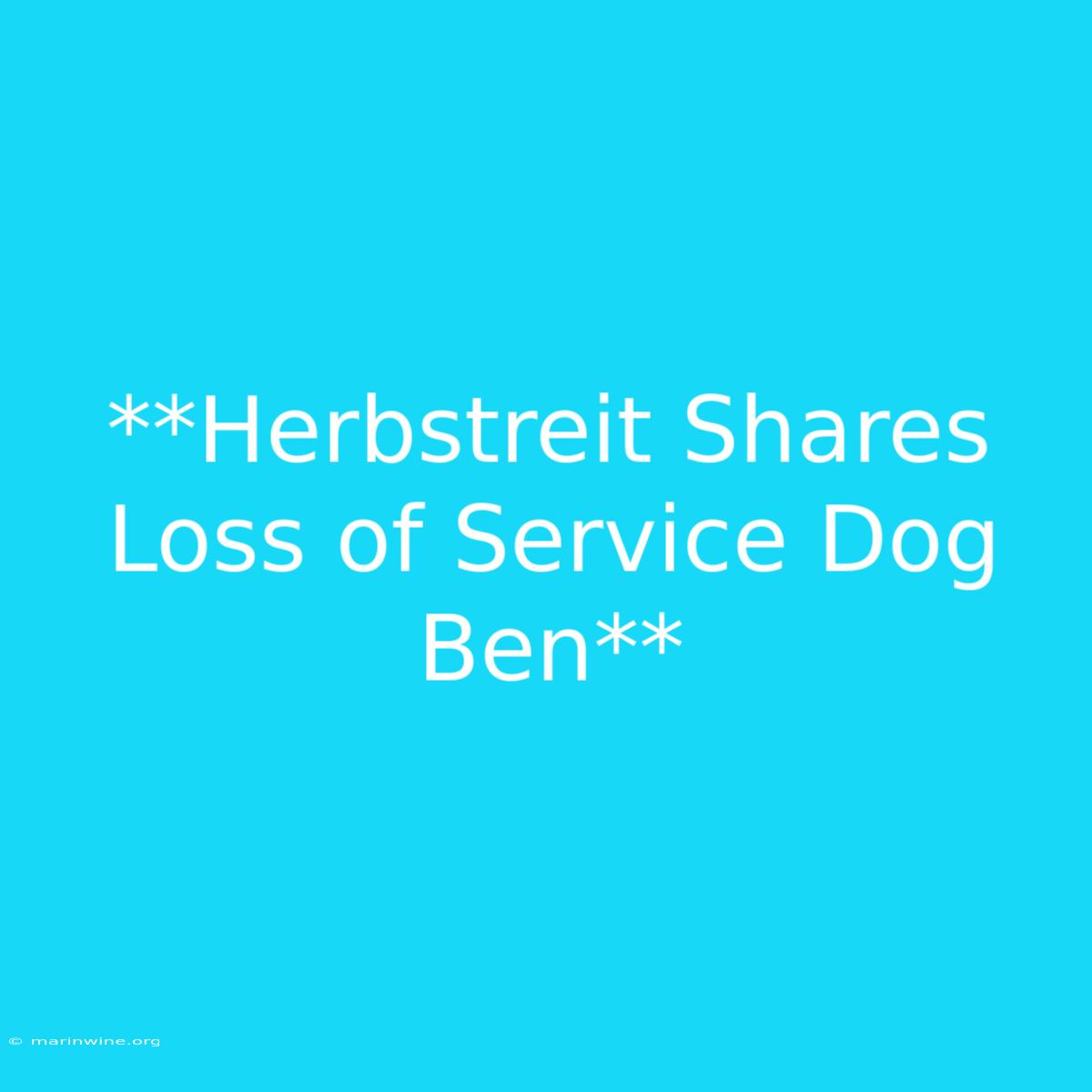 **Herbstreit Shares Loss Of Service Dog Ben**