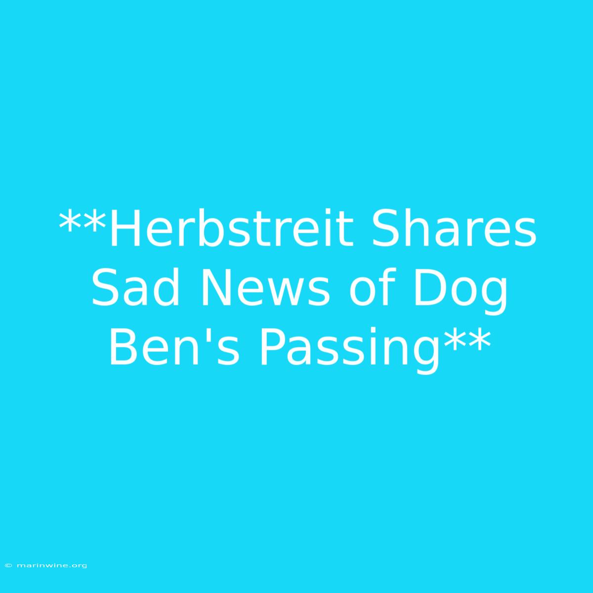 **Herbstreit Shares Sad News Of Dog Ben's Passing**