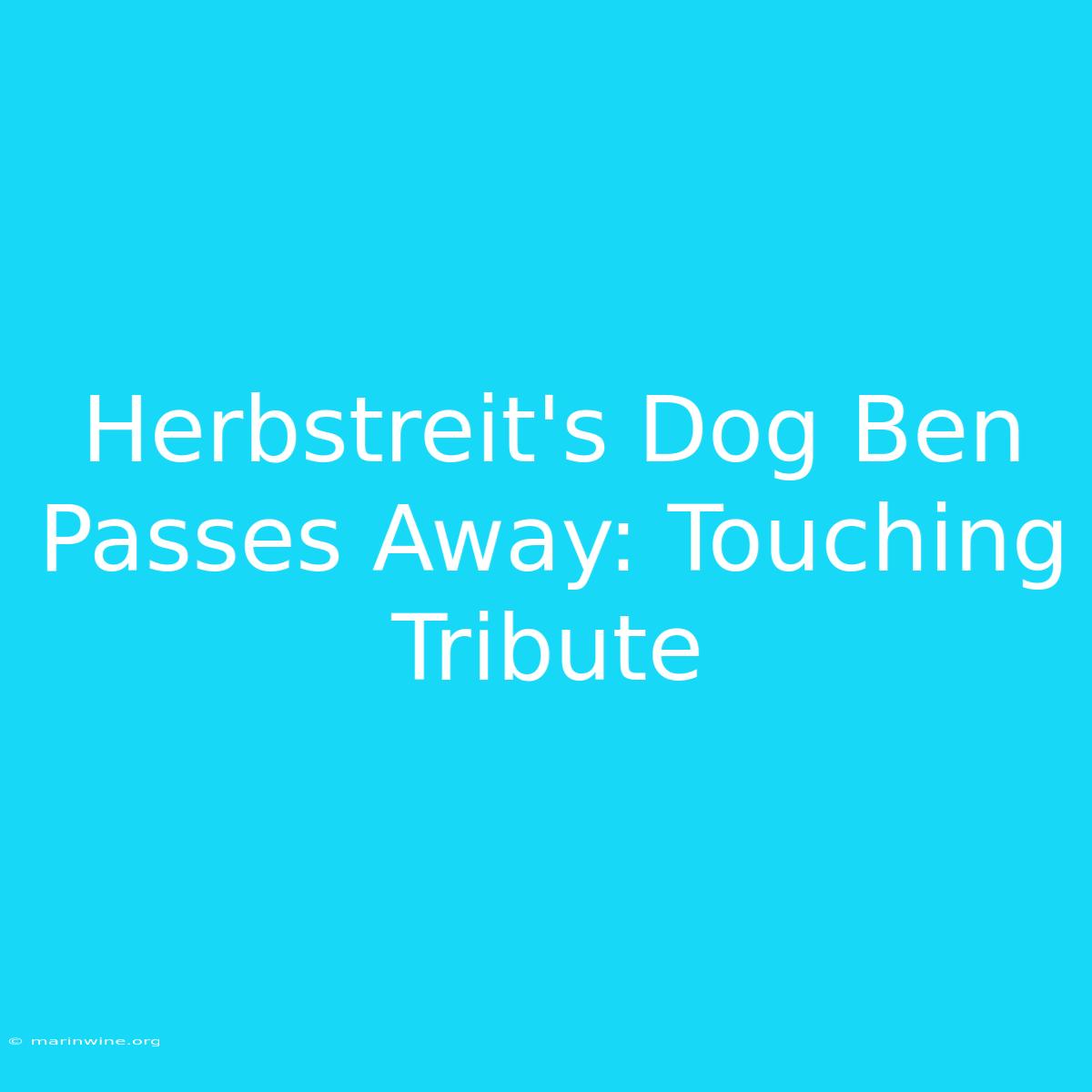 Herbstreit's Dog Ben Passes Away: Touching Tribute 