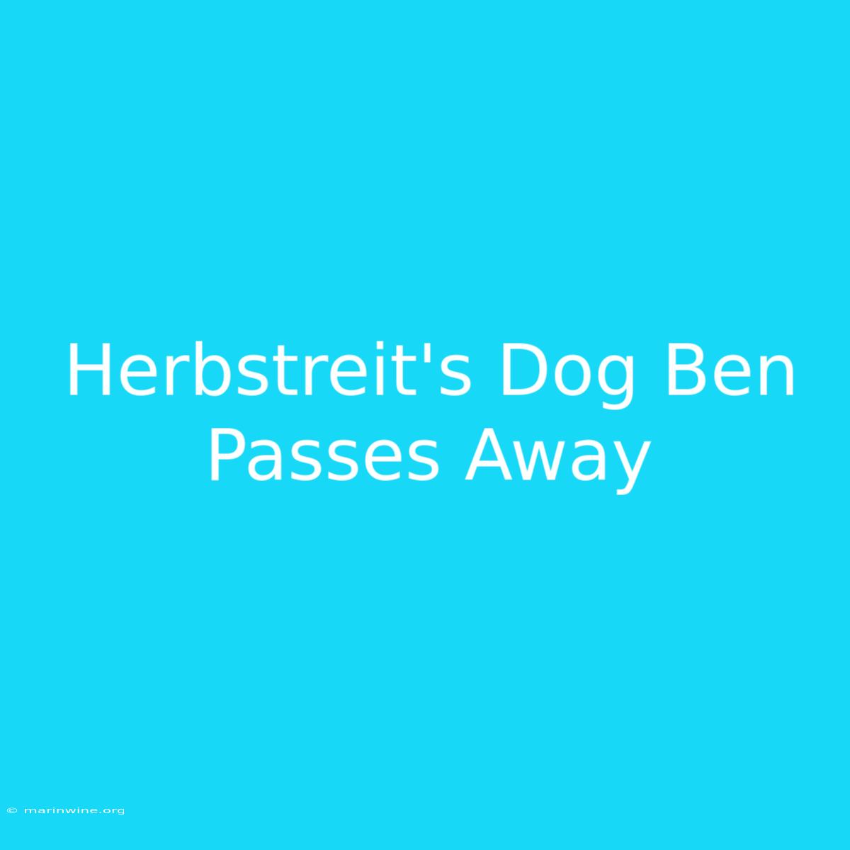 Herbstreit's Dog Ben Passes Away 