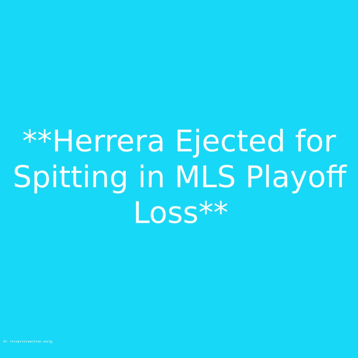 **Herrera Ejected For Spitting In MLS Playoff Loss**