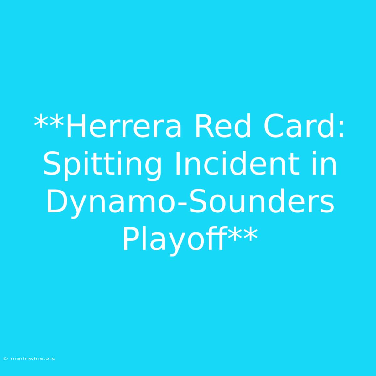 **Herrera Red Card: Spitting Incident In Dynamo-Sounders Playoff**