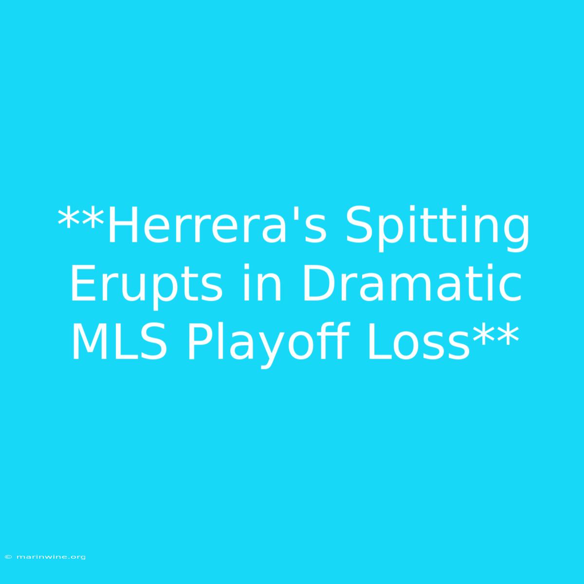 **Herrera's Spitting Erupts In Dramatic MLS Playoff Loss** 