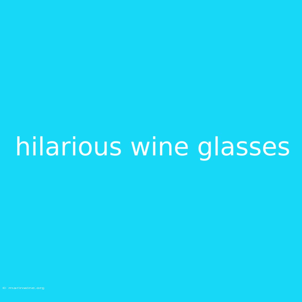 Hilarious Wine Glasses