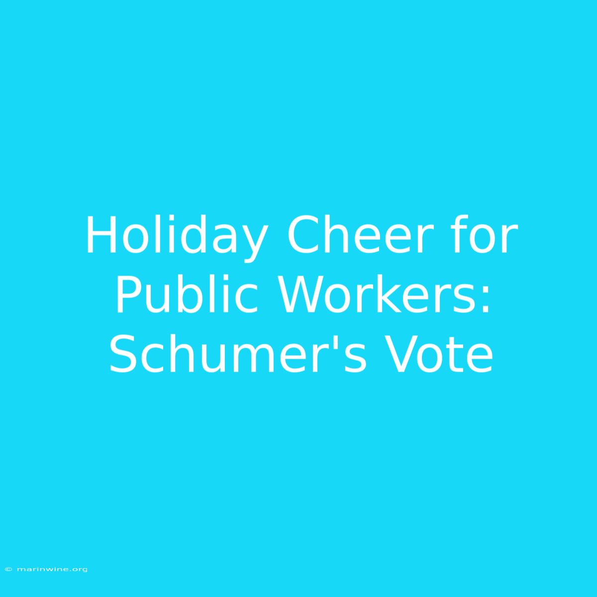 Holiday Cheer For Public Workers: Schumer's Vote