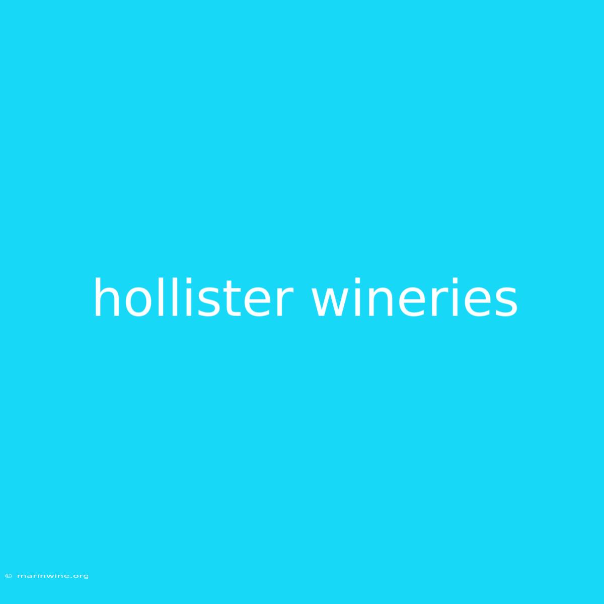 Hollister Wineries