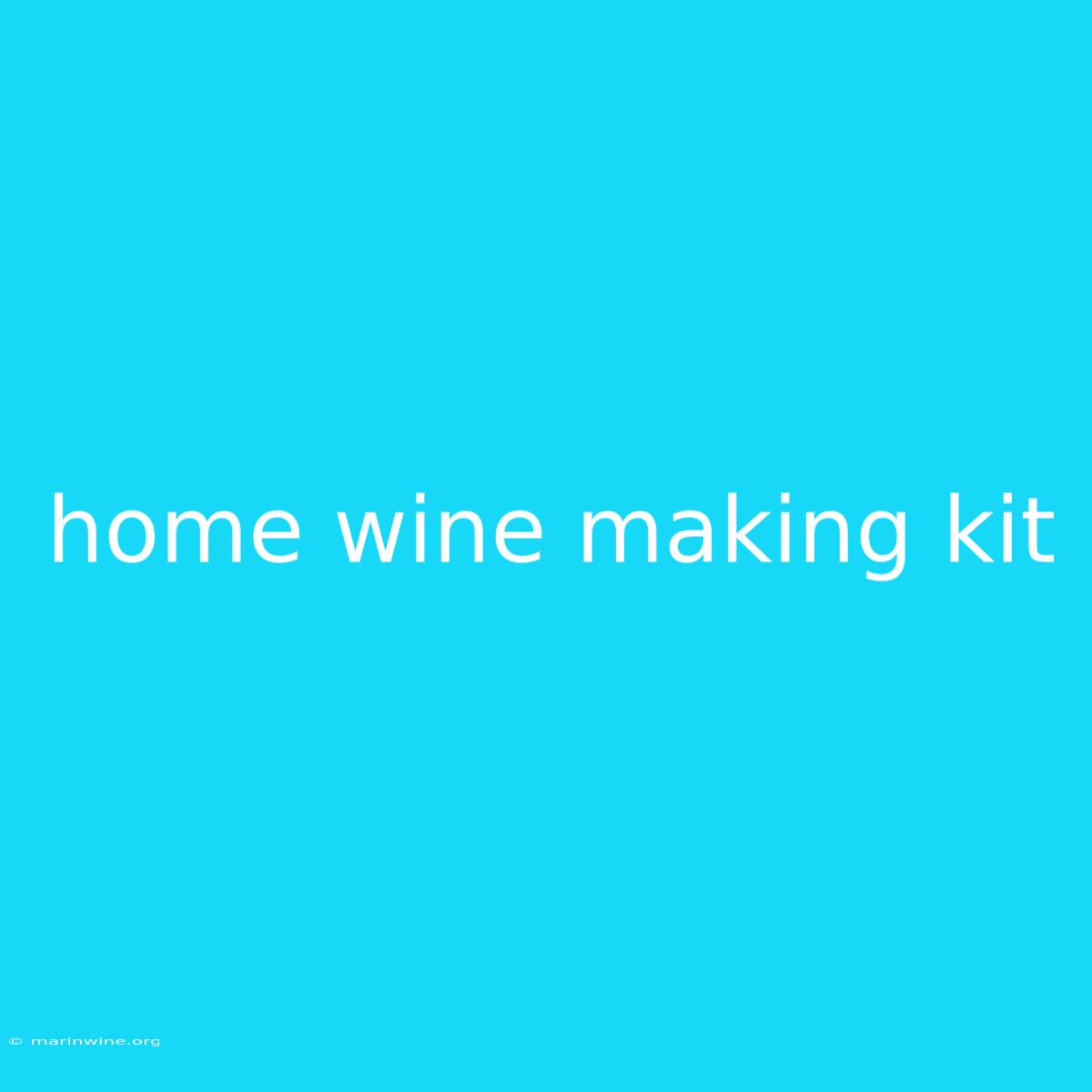 Home Wine Making Kit