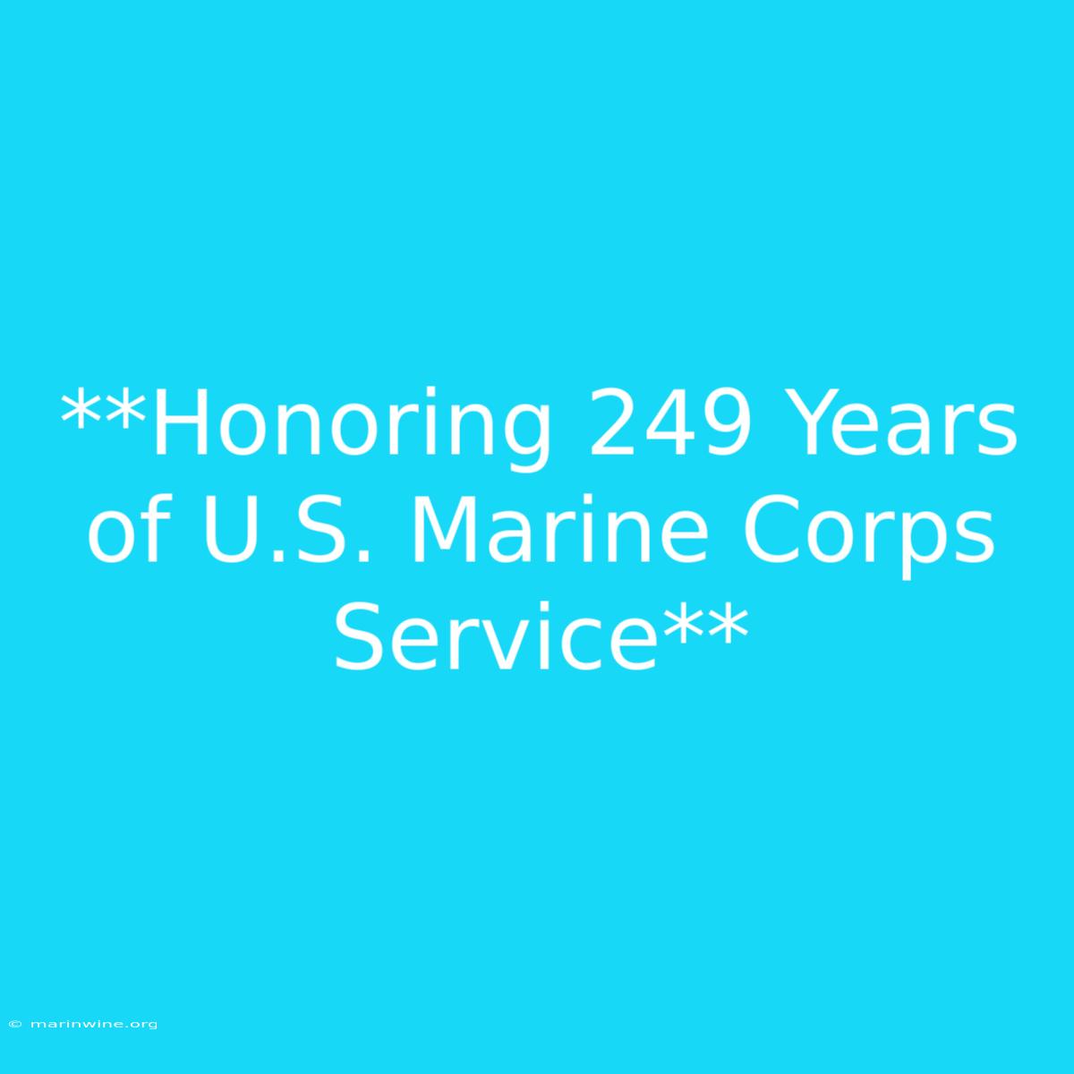 **Honoring 249 Years Of U.S. Marine Corps Service** 