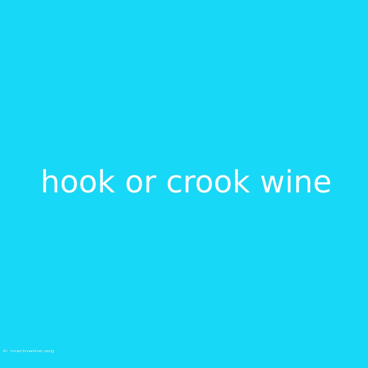 Hook Or Crook Wine