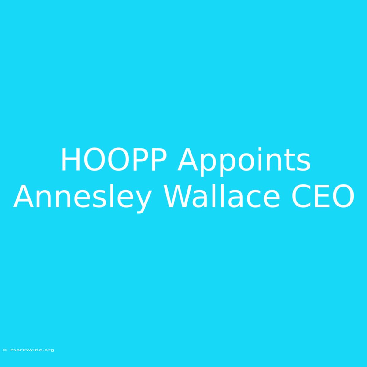 HOOPP Appoints Annesley Wallace CEO