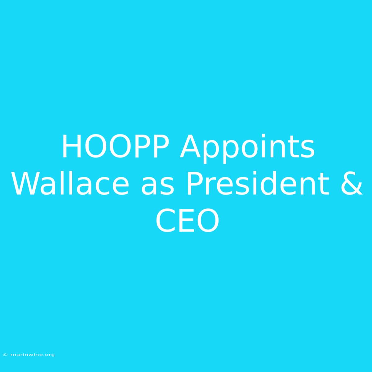 HOOPP Appoints Wallace As President & CEO