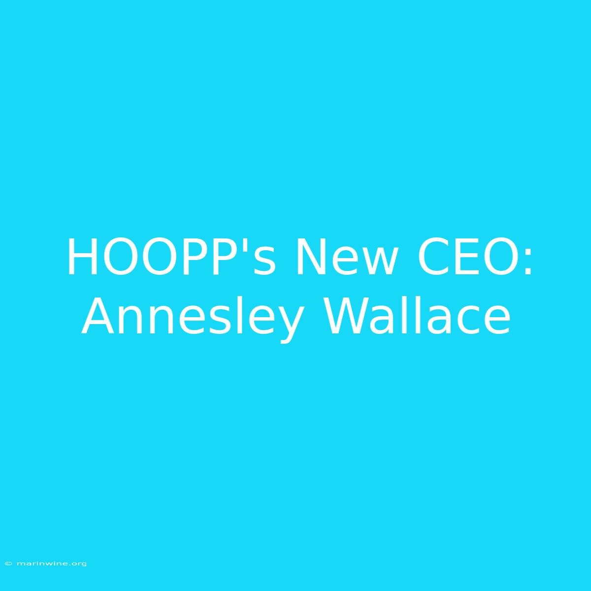 HOOPP's New CEO: Annesley Wallace