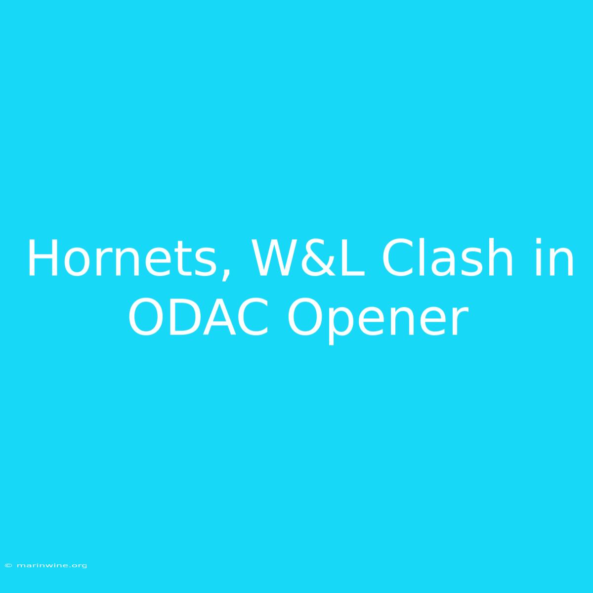 Hornets, W&L Clash In ODAC Opener