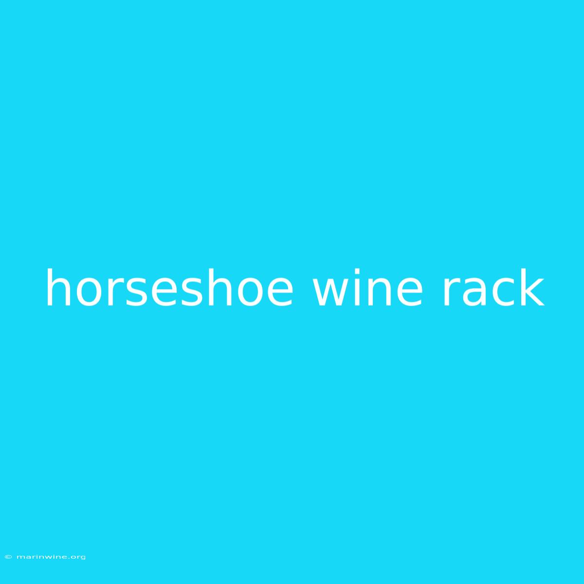 Horseshoe Wine Rack